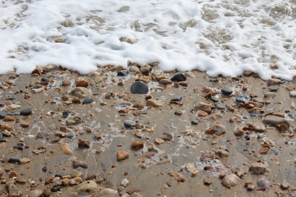 Fossil hunting in Charmouth